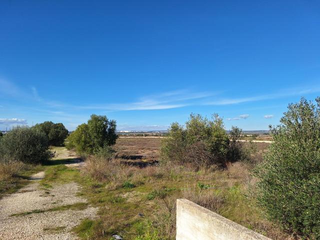 Edificabili in vendita