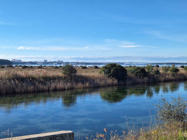 Edificabili in vendita