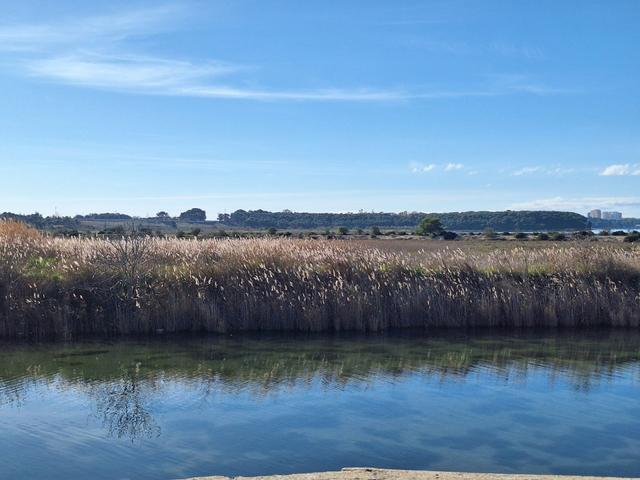 Edificabili in vendita