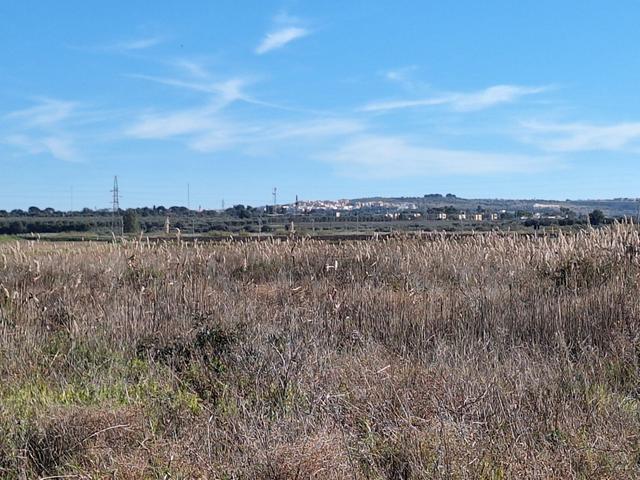 Edificabili in vendita