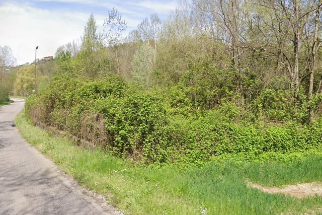 #2536705 Appezzamento agricolo in contesto collinare in vendita - foto 5