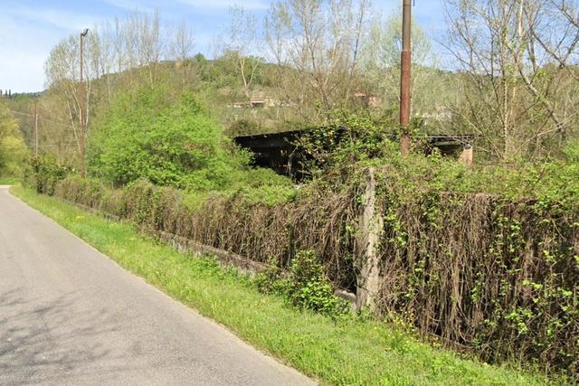 Agricoli in vendita