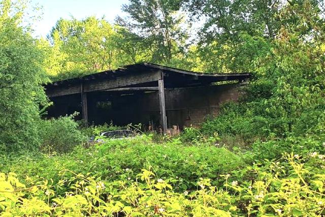 #2536705 Appezzamento agricolo in contesto collinare in vendita - foto 8