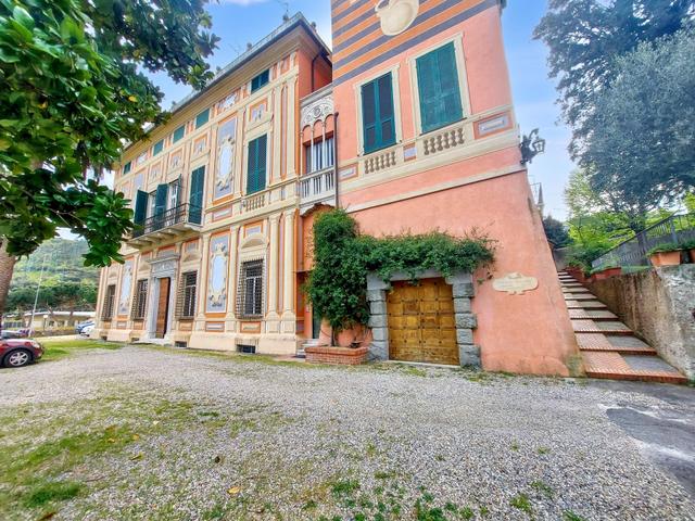 Grandi dimensioni in vendita