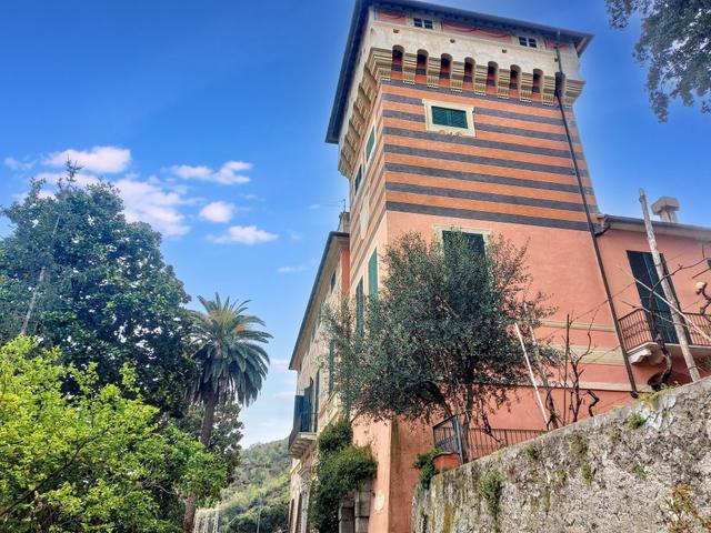Grandi dimensioni in vendita