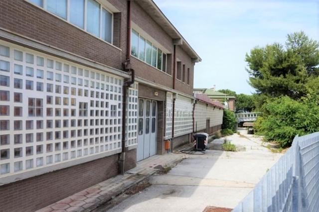 #14665 Edificio produttivo con corte e pertinenze in vendita - foto 16