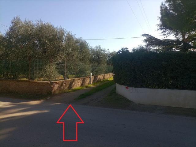 #20013 Terreno agricolo in vendita - foto 2