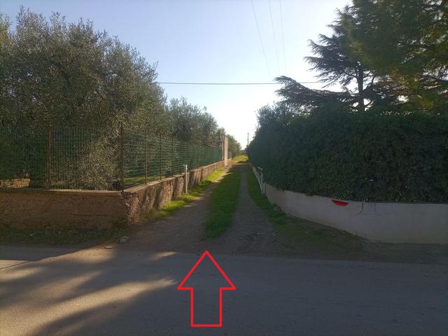 #20013 Terreno agricolo in vendita - foto 3