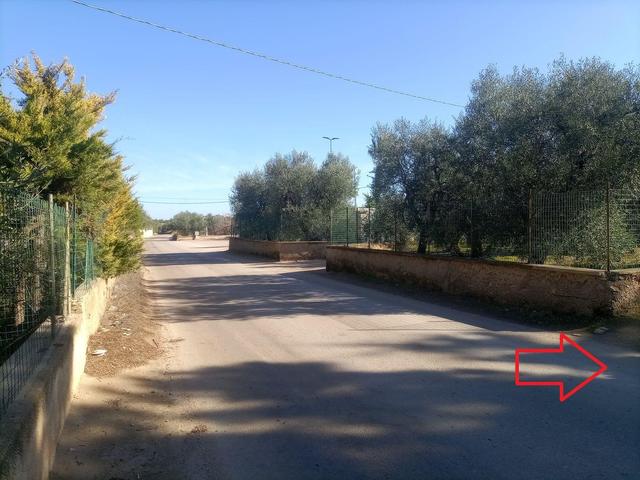 #20013 Terreno agricolo in vendita - foto 4