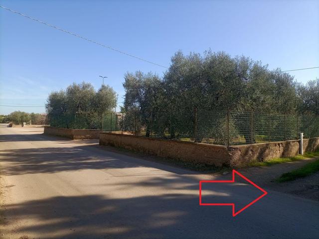 #20013 Terreno agricolo in vendita - foto 5