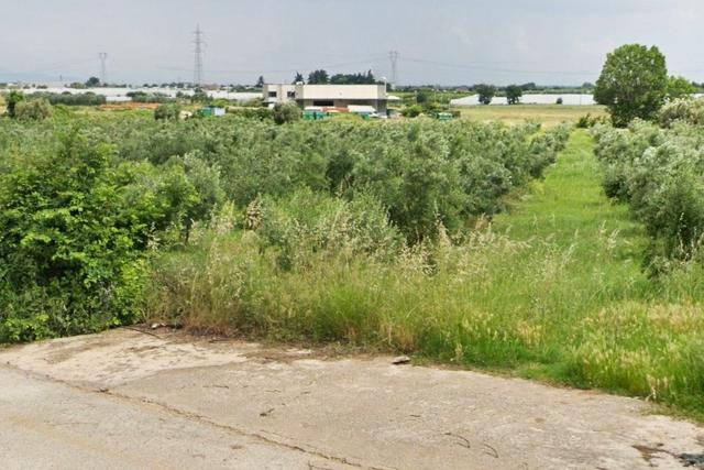 Agricoli in vendita