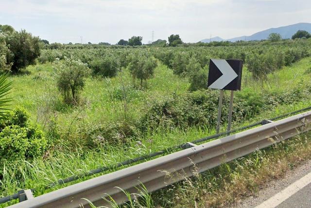#2638553 Appezzamento di terreno agricolo con uliveto in vendita - foto 2