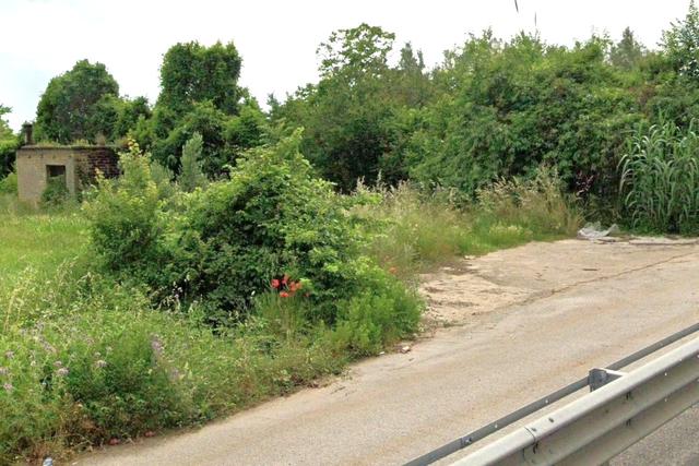 #2638553 Appezzamento di terreno agricolo con uliveto in vendita - foto 4
