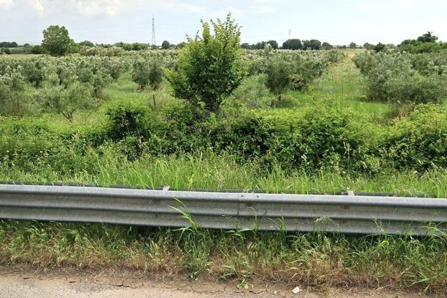Agricoli in vendita