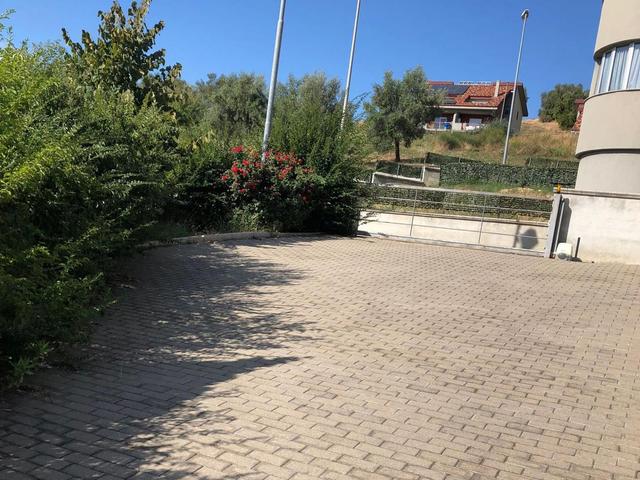 Grandi dimensioni in vendita