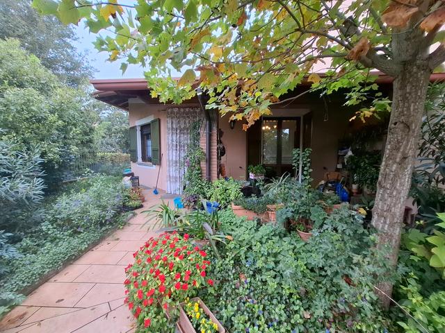 Appartamenti in vendita