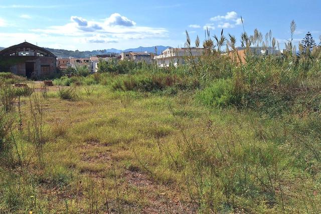 Agricoli in vendita