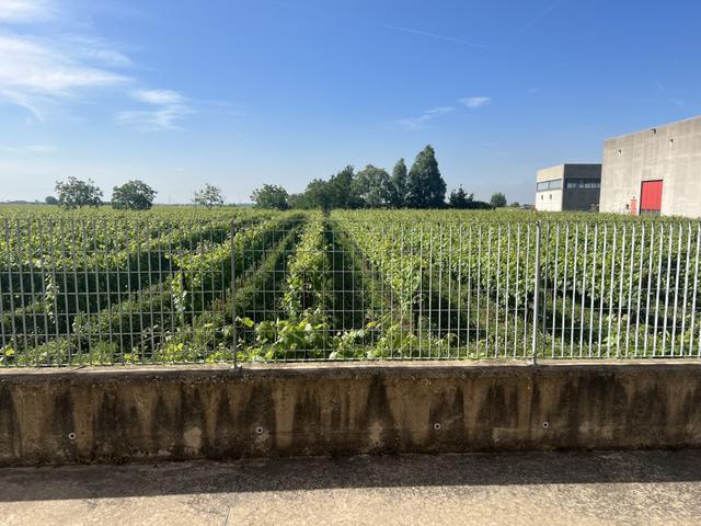 #2537496 Capannone con uffici e pertinenze in vendita - foto 15