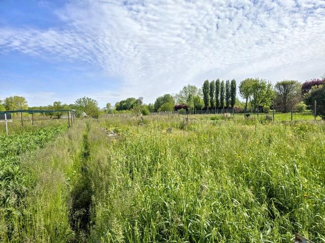 #2518011 Terreno in parte edificabile di 1.676 mq in vendita - foto 8