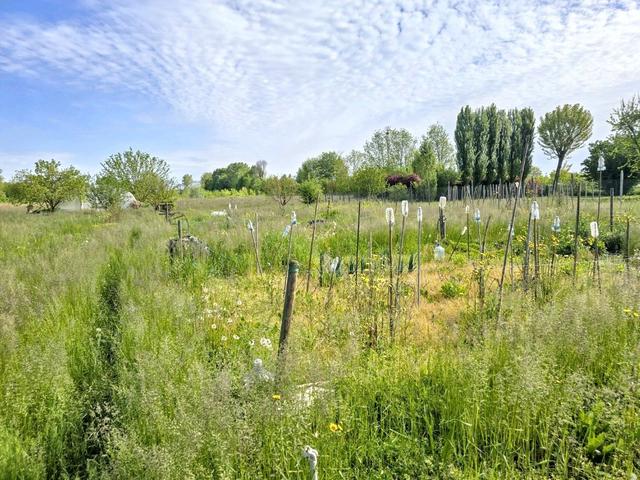 #2518011 Terreno in parte edificabile di 1.676 mq in vendita - foto 9