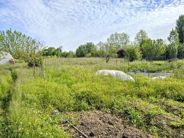 #2518011 Terreno in parte edificabile di 1.676 mq in vendita - foto 10