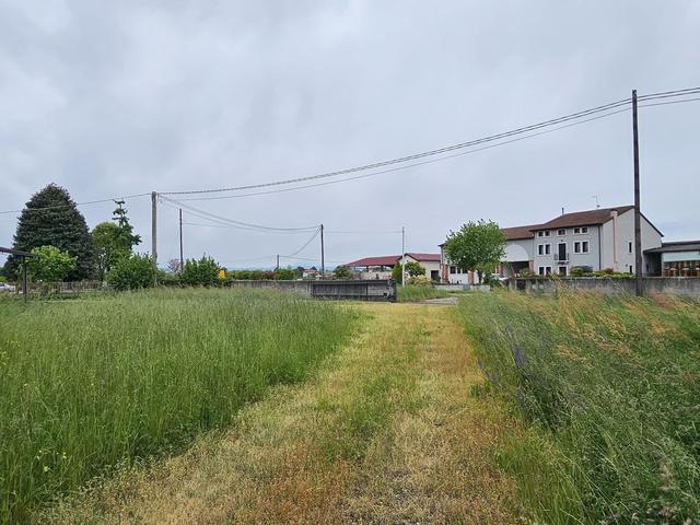 Artigianali in vendita