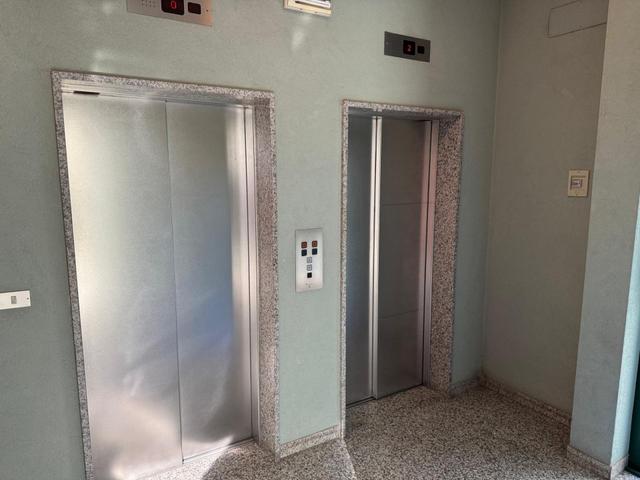 Grandi dimensioni in vendita