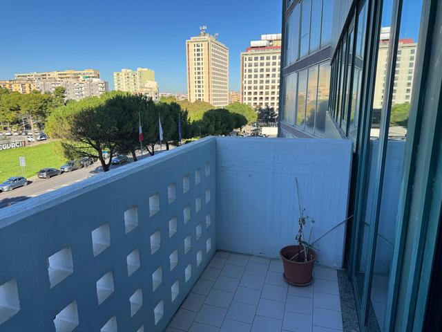 Grandi dimensioni in vendita