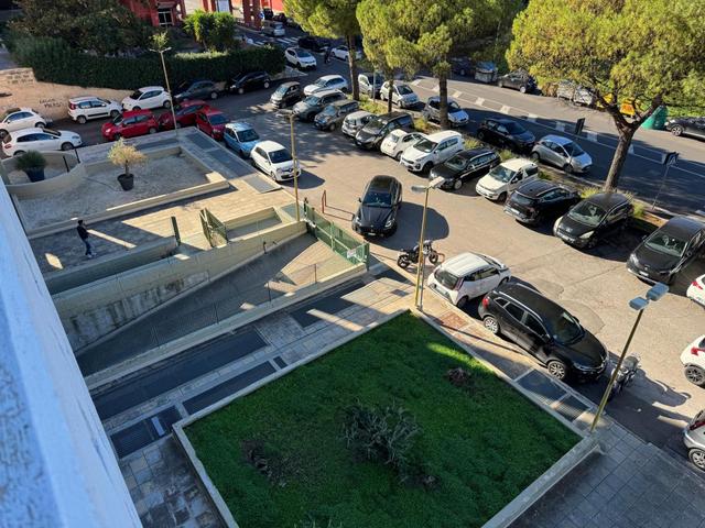 Grandi dimensioni in vendita