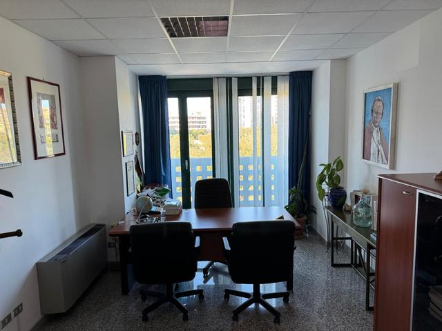 Grandi dimensioni in vendita