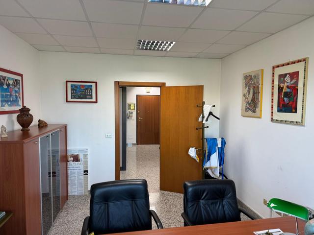 Grandi dimensioni in vendita