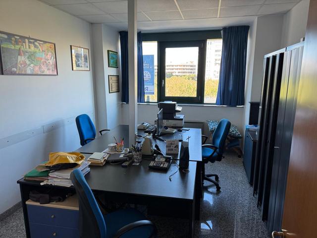 Grandi dimensioni in vendita