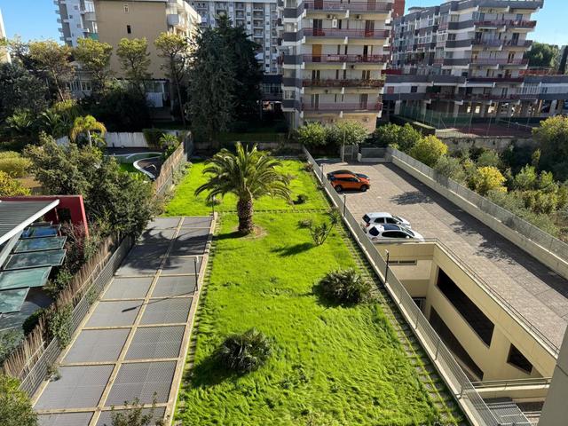 Grandi dimensioni in vendita