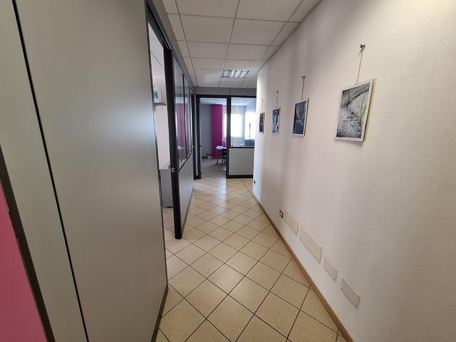 Grandi dimensioni in vendita