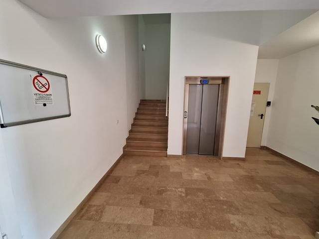 Grandi dimensioni in vendita
