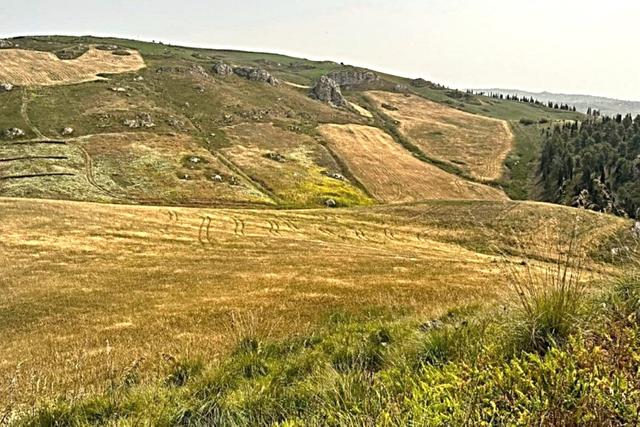 #2640088 Appezzamento agricolo collinare a pascolo in vendita - foto 1