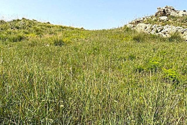 #2640088 Appezzamento agricolo collinare a pascolo in vendita - foto 3