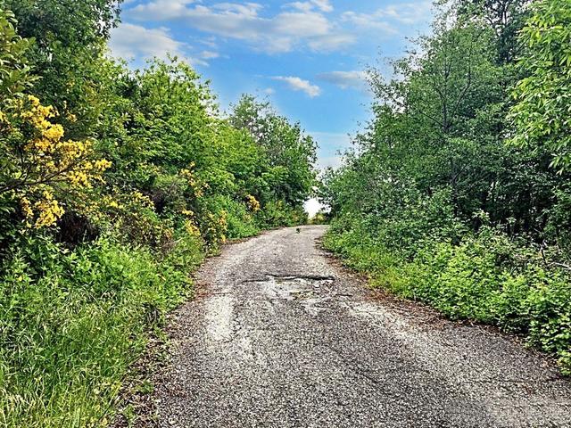 #22968 Complesso alberghiero immerso nel verde della Sila in vendita - foto 6
