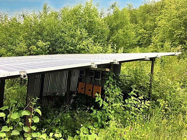 #22968 Complesso alberghiero immerso nel verde della Sila in vendita - foto 13