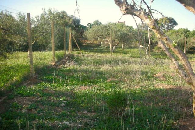 #2638306 Appezzamento agricolo incolto di 9960 mq in vendita - foto 3