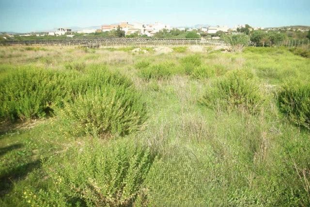 #2638306 Appezzamento agricolo incolto di 9960 mq in vendita - foto 5
