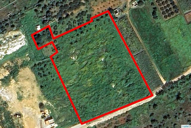 #2638306 Appezzamento agricolo incolto di 9960 mq in vendita - foto 6