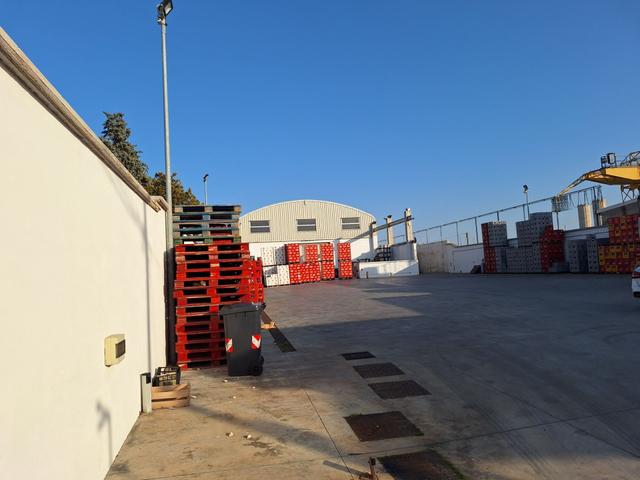 #2536357 Capannone commerciale a Bari (via Napoli) in vendita - foto 2