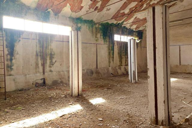 #21461 Complesso artigianale con cortile e pertinenze in vendita - foto 14