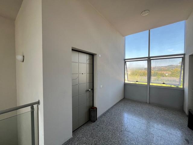 Grandi dimensioni in vendita