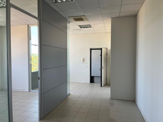 Grandi dimensioni in vendita