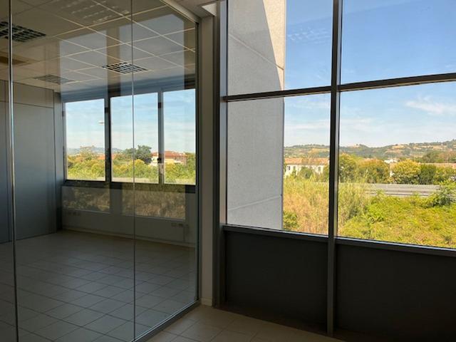 Grandi dimensioni in vendita