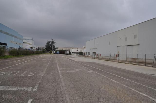 #14957 Capannone industriale con uffici e alloggio custode in vendita - foto 57