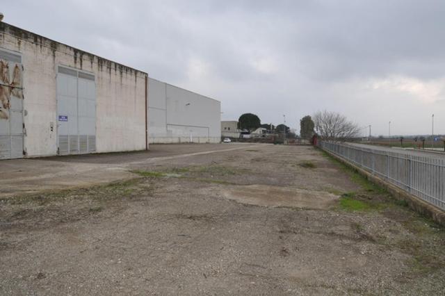 #14957 Capannone industriale con uffici e alloggio custode in vendita - foto 54
