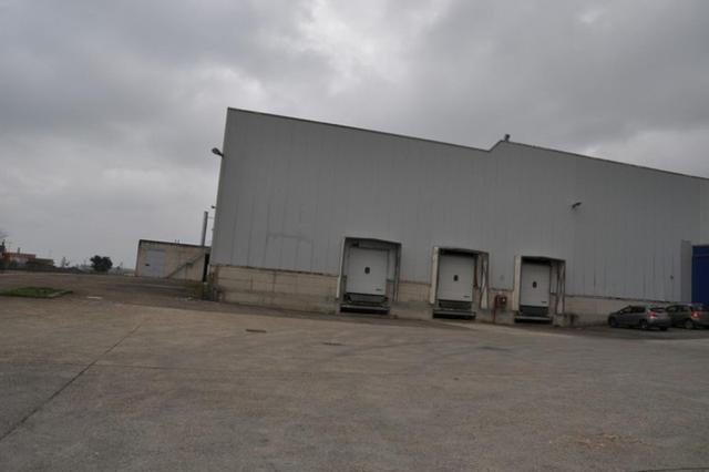 #14957 Capannone industriale con uffici e alloggio custode in vendita - foto 81